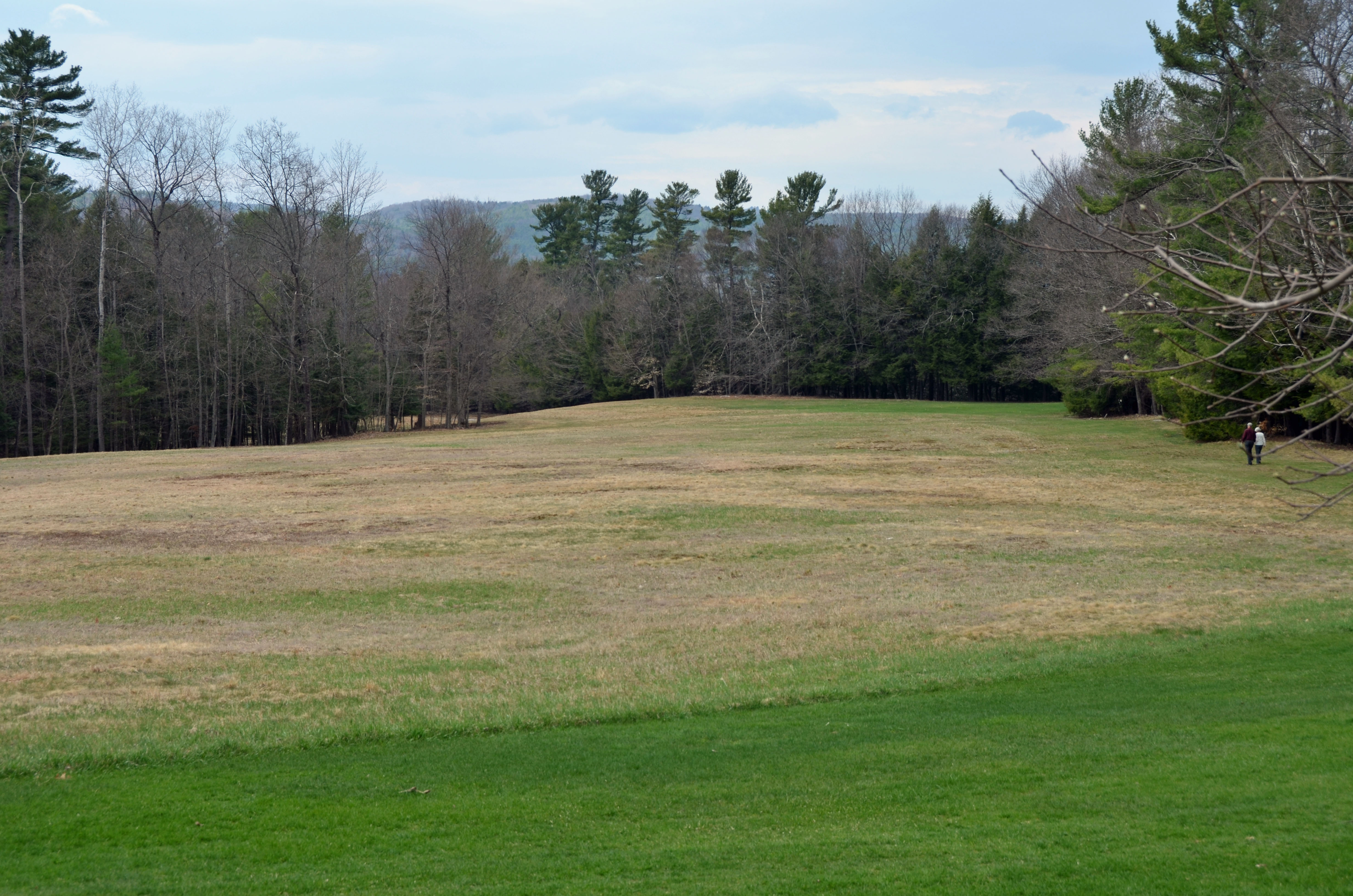National Park Service Anniversary - Open Meadow In The Park