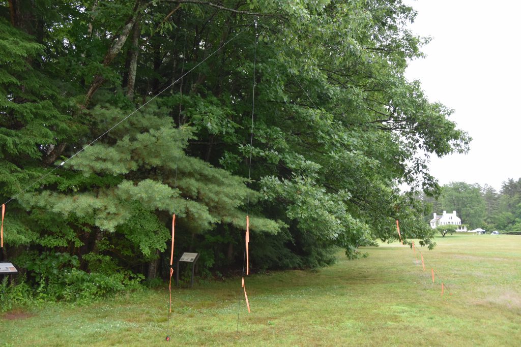 NPOTA 20m Inverted V Antenna NPOTA 20m Inverted V Antenna