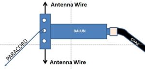 Vertical Dipole - The Balun is hung at a right angle