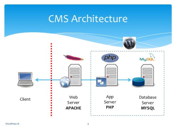 Basic WordPress CMS Architecture