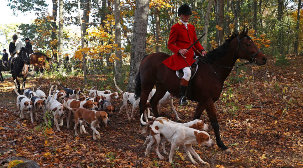 N1FD Foxes Run Wild At Picnic... Nashua Area Radio Society