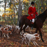 Fox Hunting...