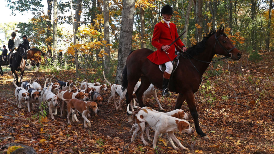 SHINYAKOZUKA SHORT HOLIDAY　FOX HUNT SHINYAKOZUKA SHORT HOLIDAY(FOX HUNT) 2301SK36 | IAAAM ONLINE