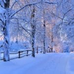 Winter Snow